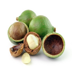 Tamanu