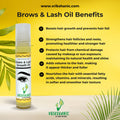 Brows & Lash Growth Oil