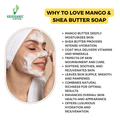 Mango Shea Butter Soap
