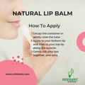 Lip Balm