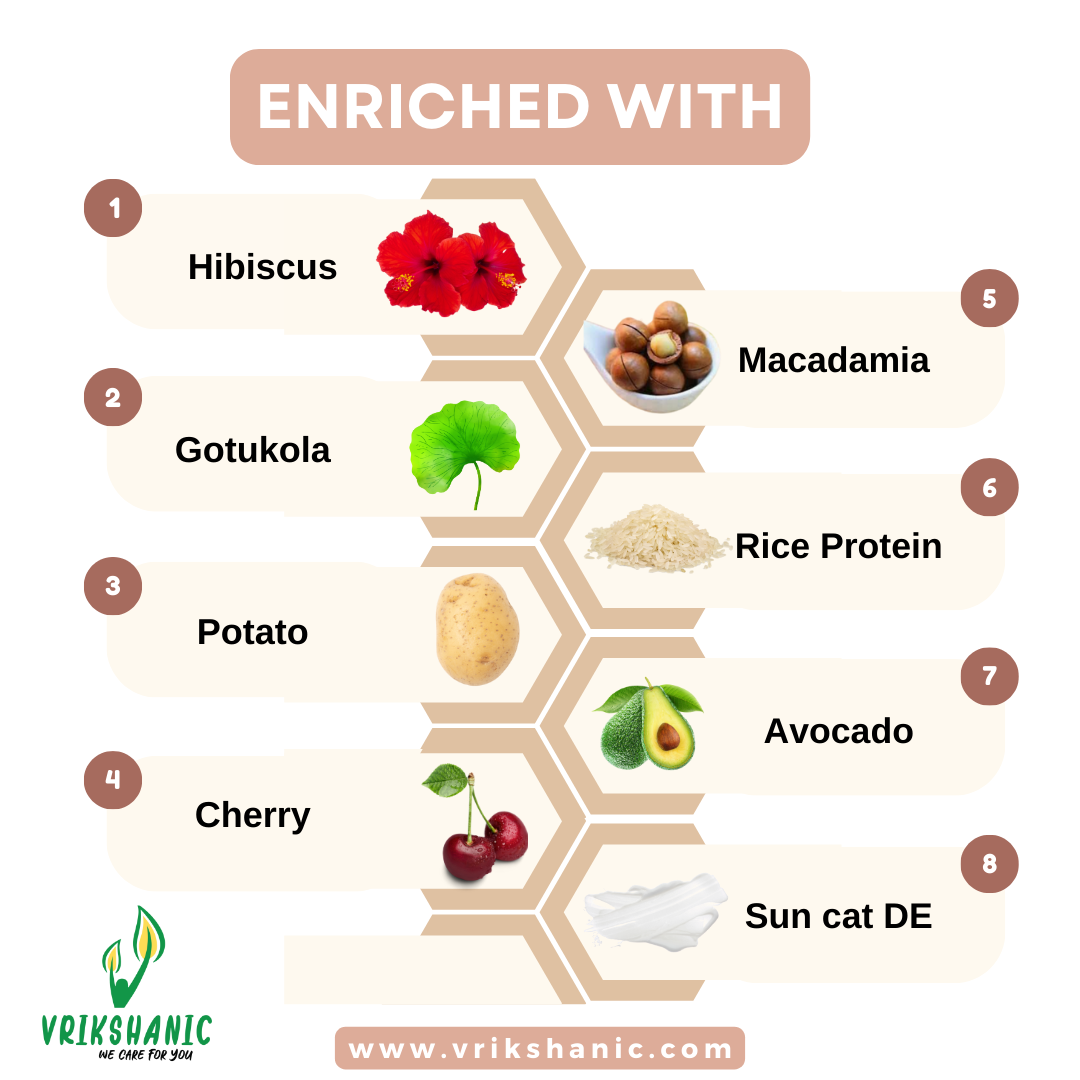 Daily Moisturizing BB Cream