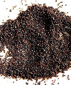kanuch seeds
