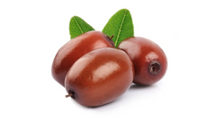 Jojoba