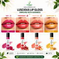 Luscious Lip Gloss