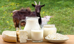 Goat Milk