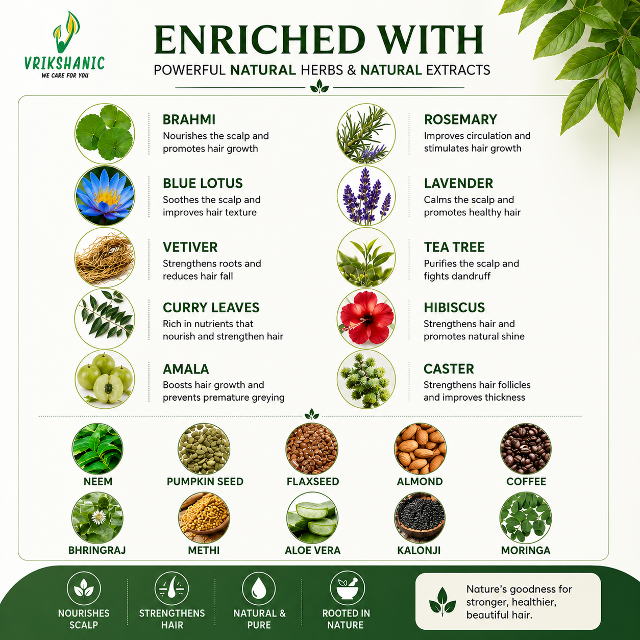 An informational infographic titled 'ENRICHED WITH' from Vrikshanic, showing a grid of natural herbs, flowers, seeds, and foods with text describing their hair-nourishing benefits. The layout uses green, white, and dark green blocks with botanical illustrations and product names including brahmi, blue lotus, vetiver, curry leaves, amala, rosemary, lavender, tea tree, hibiscus, castor, neem, pumpkin seed, flaxseed, almond, coffee, and bhingraaj.