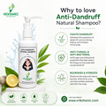 Vrikshanic Anti-Dandruff Natural Shampoo bottle with benefits listed on a green background
