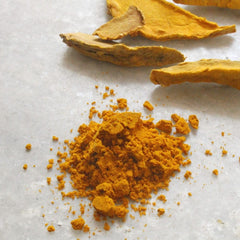 Wild Turmeric