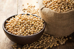 Soya Protein